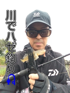 ハゼの釣果