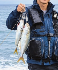 ショゴの釣果