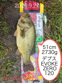ブラックバスの釣果