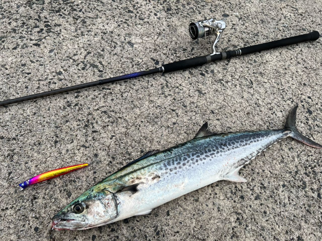 SHIMANO 21コルトスナイパーBB S100Mの最安値・インプレ・釣果 | 本音