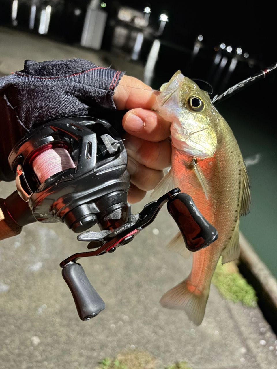 DAIWA 21月下美人 AIR TW PE SPECIAL 8.5Rの最安値・インプレ・釣果