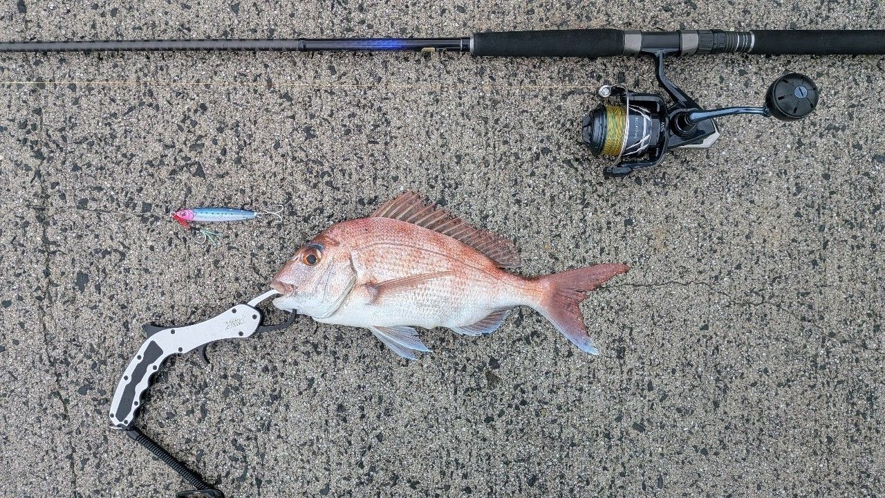 SHIMANO 21コルトスナイパーBB S100MHの最安値・インプレ・釣果 | 本音