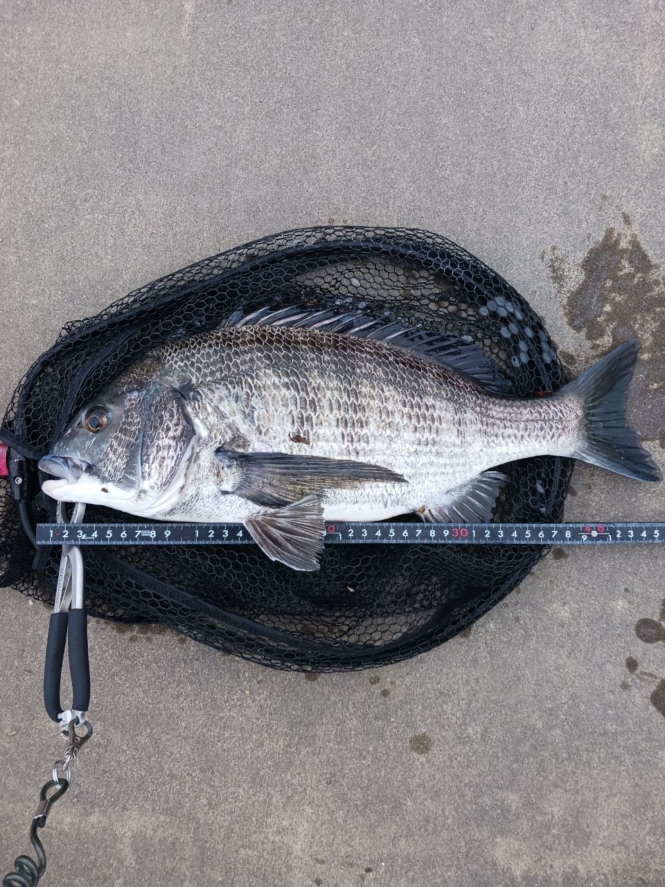 DAIWA 22エメラルダス ストイスト RT 82MHの最安値・インプレ・釣果