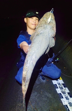 マゴチの釣果