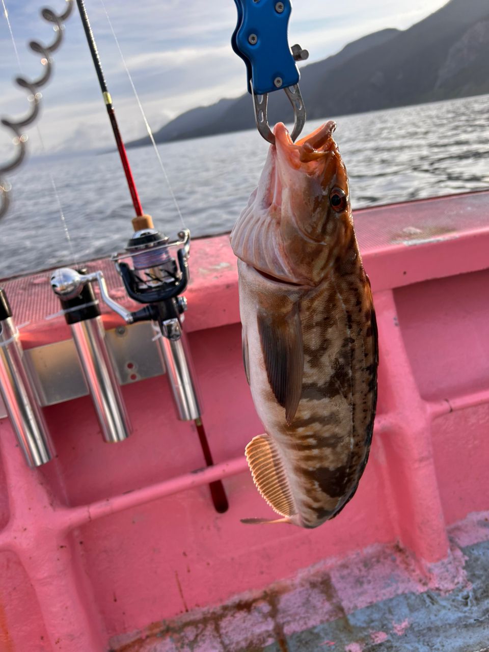 SHIMANO 19オシアジガー F カスタム 2000NRHGの最安値・インプレ・釣果