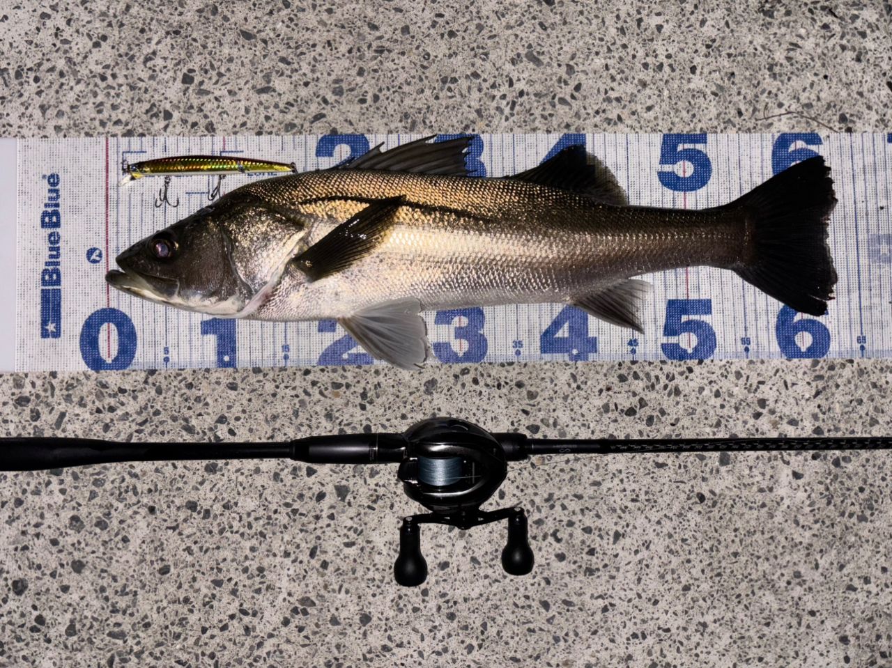 SHIMANO 22エクスセンス ∞ (インフィニティ) B86MHの最安値・インプレ
