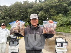 スルメイカの釣果