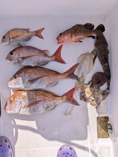 釣果