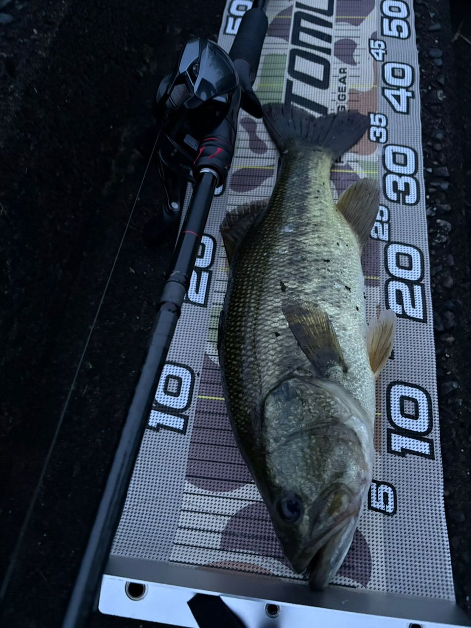 SHIMANO 21ゾディアス (パックロッド) C72MH-5の最安値・インプレ