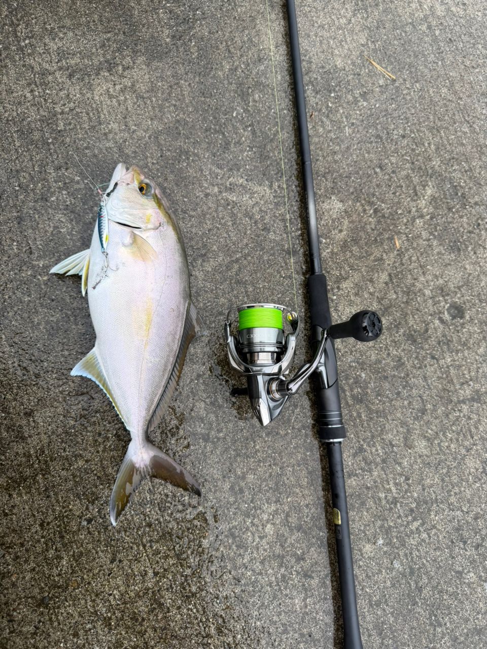 SHIMANO 23ディアルーナ S96Mの最安値・インプレ・釣果 | 本音の口コミ
