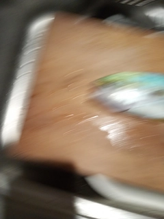 ワカシの釣果