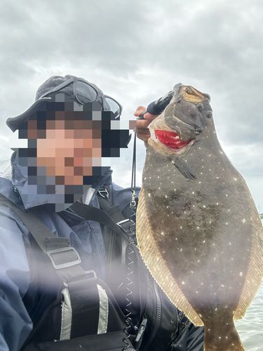 宮崎県の釣果・釣り場情報【2026年最新】 - アングラーズ | 釣果600万