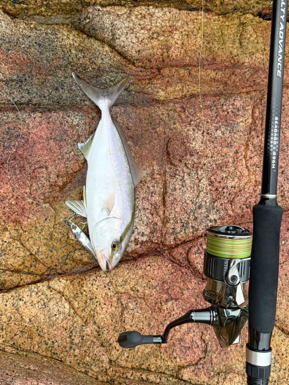 SHIMANO 22ステラ 4000MHGの最安値・インプレ・釣果 | 本音の口コミが