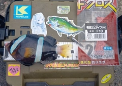 クマノミの釣果
