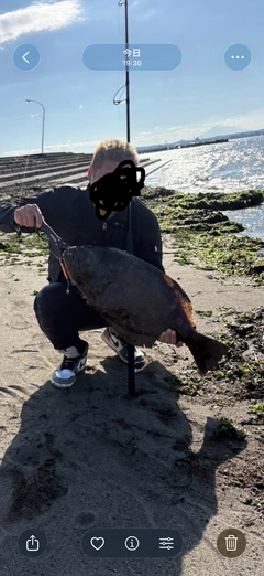 ヒラメの釣果