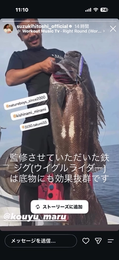 イシナギの釣果