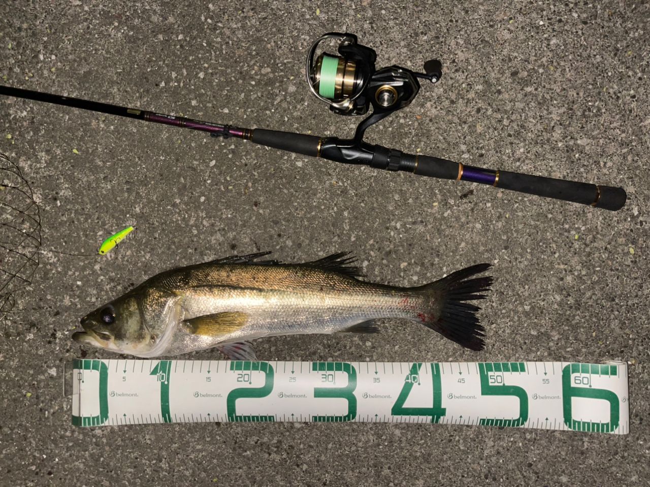 DAIWA 21カルディア LT2500S-XHの最安値・インプレ・釣果 | 本音の