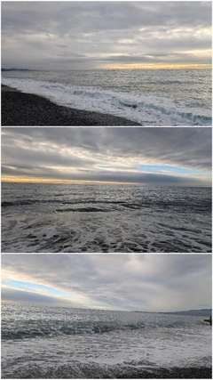 ショゴの釣果