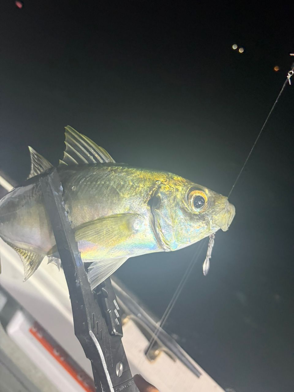 SHIMANO 18オシアジガー LJ S65-0/FSの最安値・インプレ・釣果 | 本音