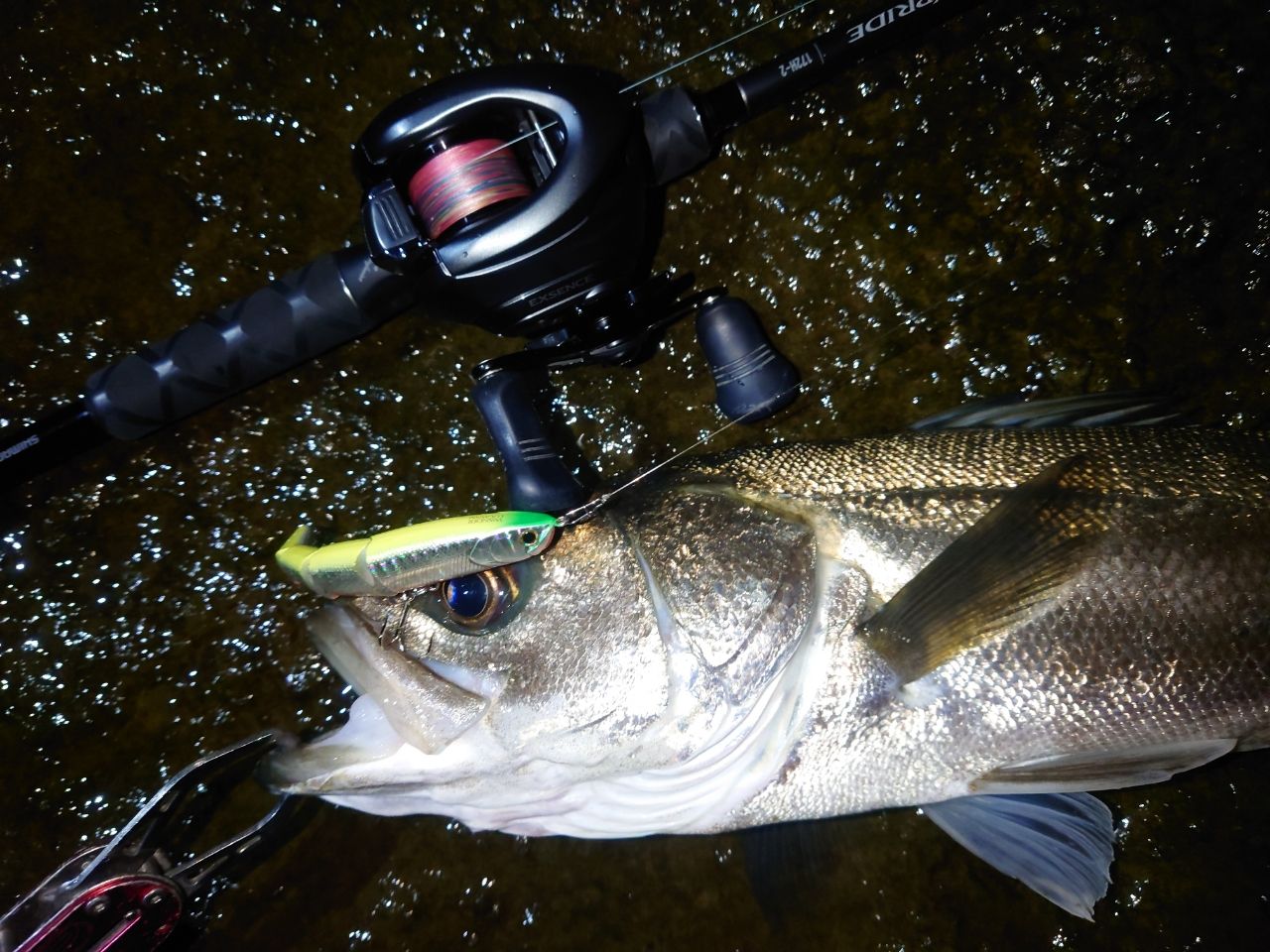 SHIMANO 22エクスプライド 172H-2の最安値・インプレ・釣果 | 本音の