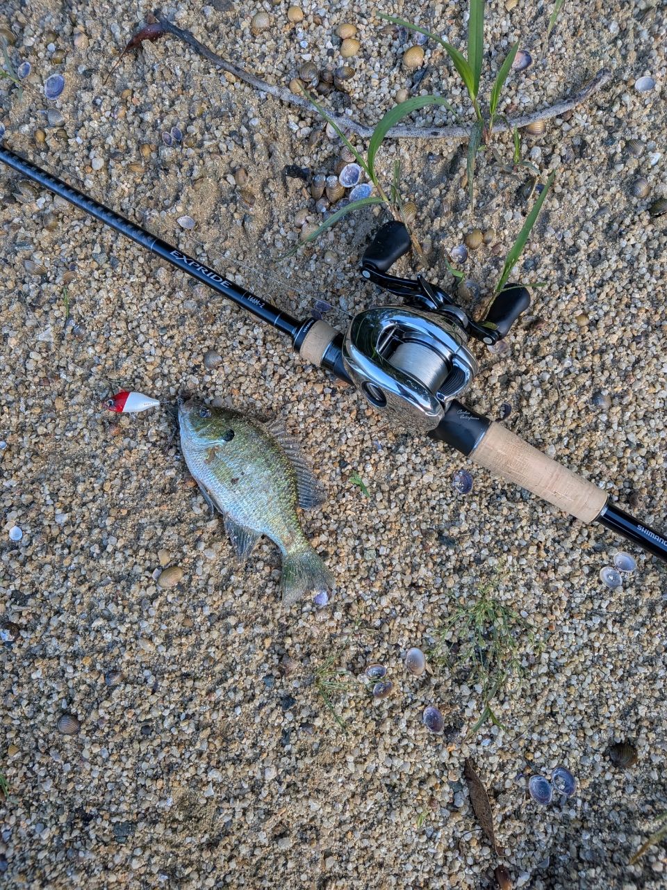 SHIMANO 22エクスプライド 166M-2の最安値・インプレ・釣果 | 本音の
