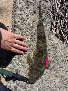 釣果