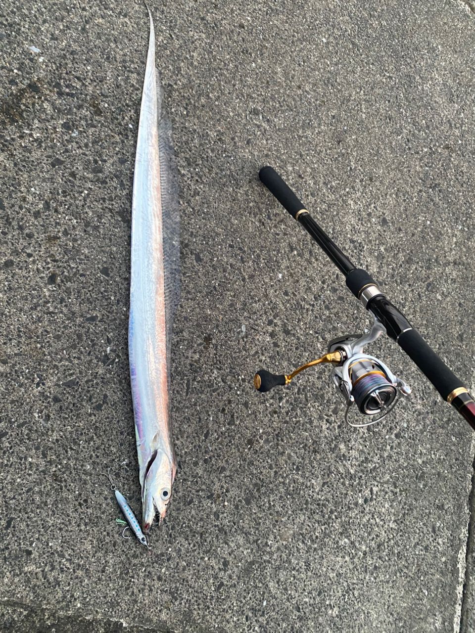 DAIWA 21フリームス LT4000-CXHの最安値・インプレ・釣果 | 本音の