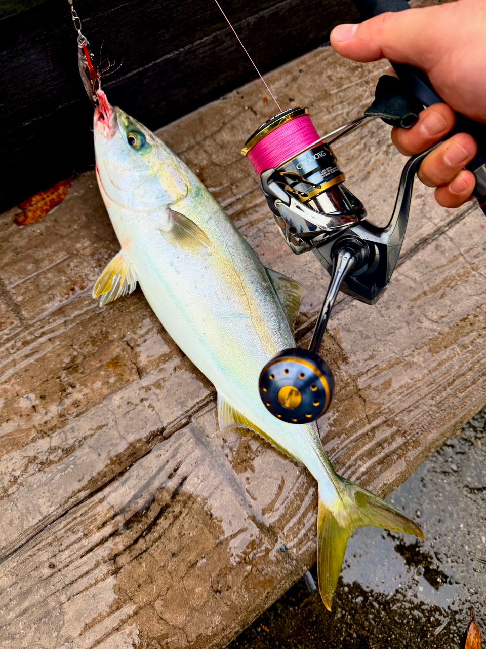 SHIMANO 22ネッサXR S108M+の最安値・インプレ・釣果 | 本音の口コミが