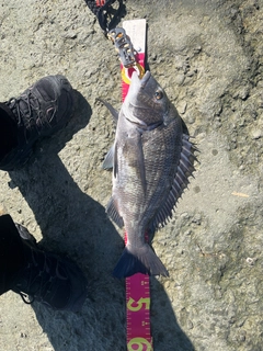 釣果