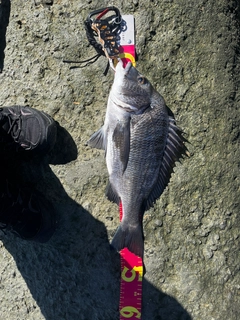 釣果