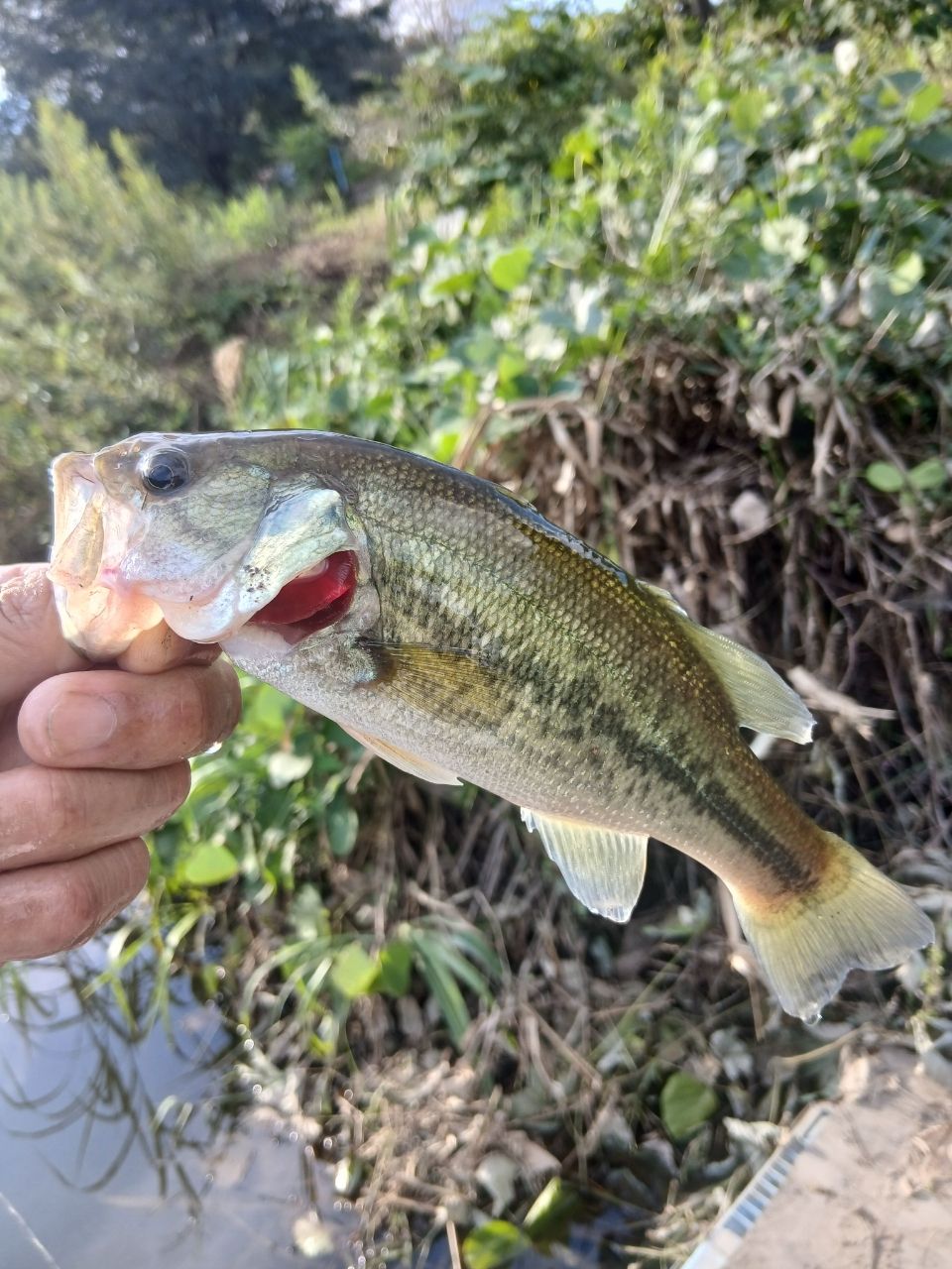 DAIWA 20リベリオン（センターカット2ピース スピニングモデル） 682ML