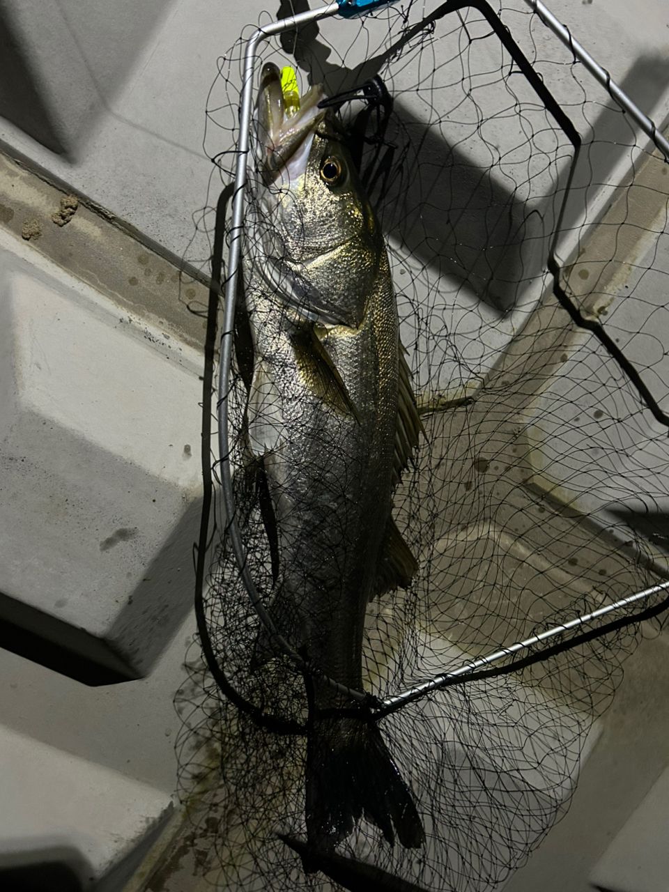 DAIWA 21モアザン ブランジーノ EX AGS 94MLの最安値・インプレ・釣果