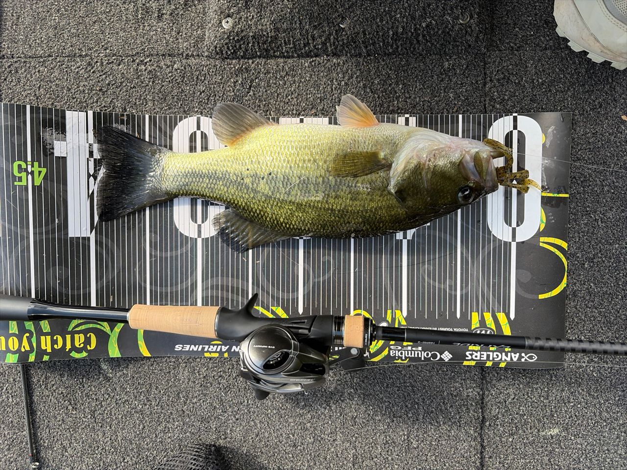 SHIMANO 22エクスプライド 168MH-Sの最安値・インプレ・釣果 | 本音の