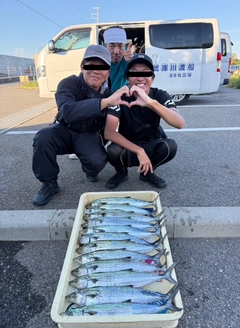 サゴシの釣果