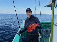 アカハタの釣果