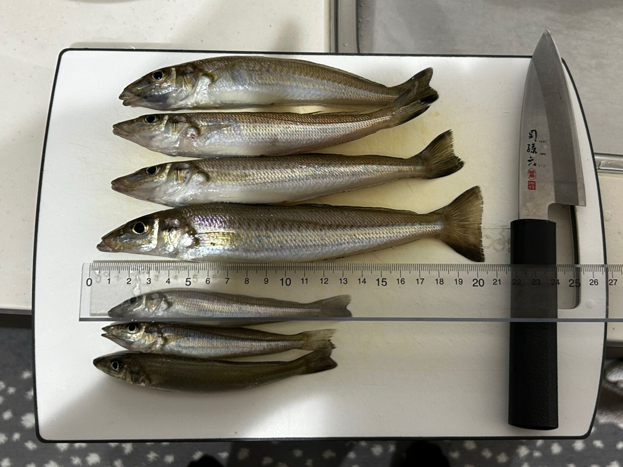 SHIMANO 18サーフリーダー CI4+ 35細糸仕様の最安値・インプレ・釣果