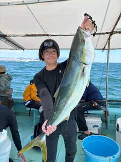 ブリの釣果