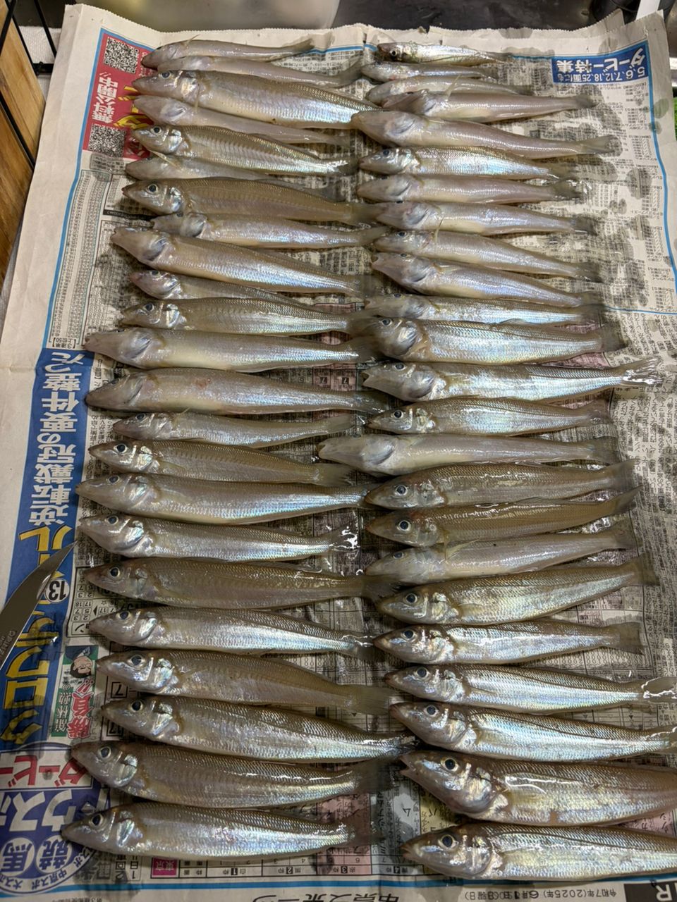 SHIMANO 18サーフリーダー CI4+ 35細糸仕様の最安値・インプレ・釣果
