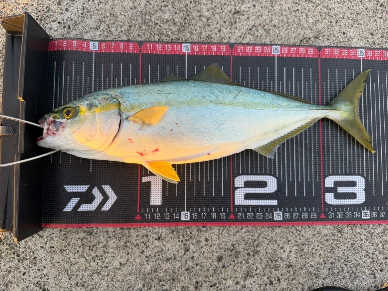SHIMANO 22ステラ 4000MHGの最安値・インプレ・釣果 | 本音の口コミが