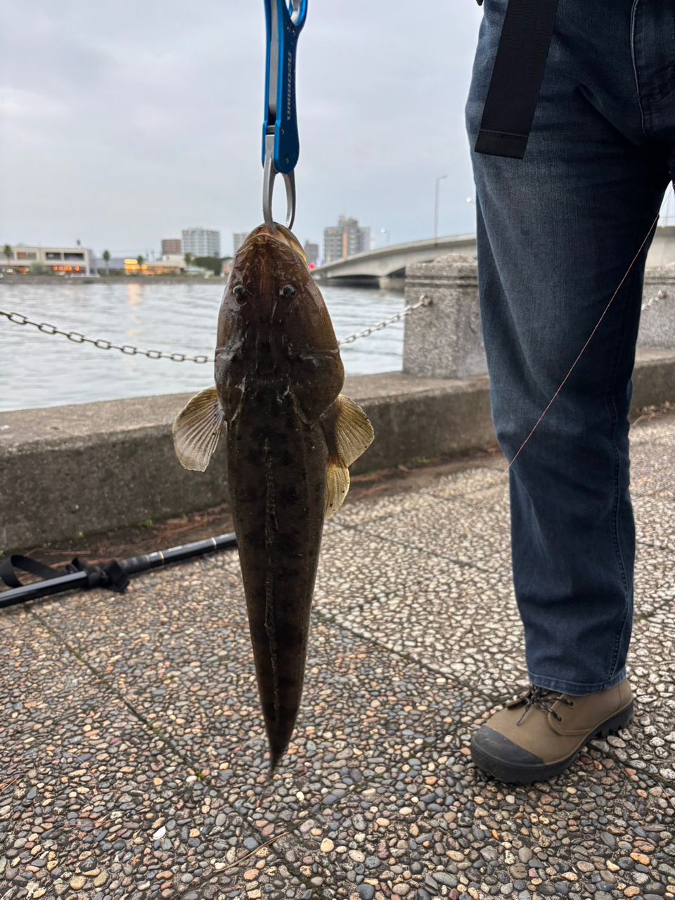 AbuGarcia ソルティーフィールド SFS-962Mの最安値・インプレ・釣果