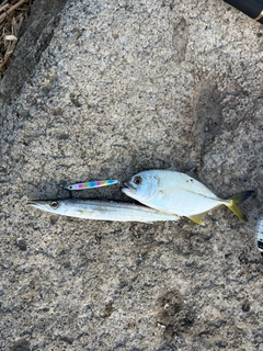 釣果