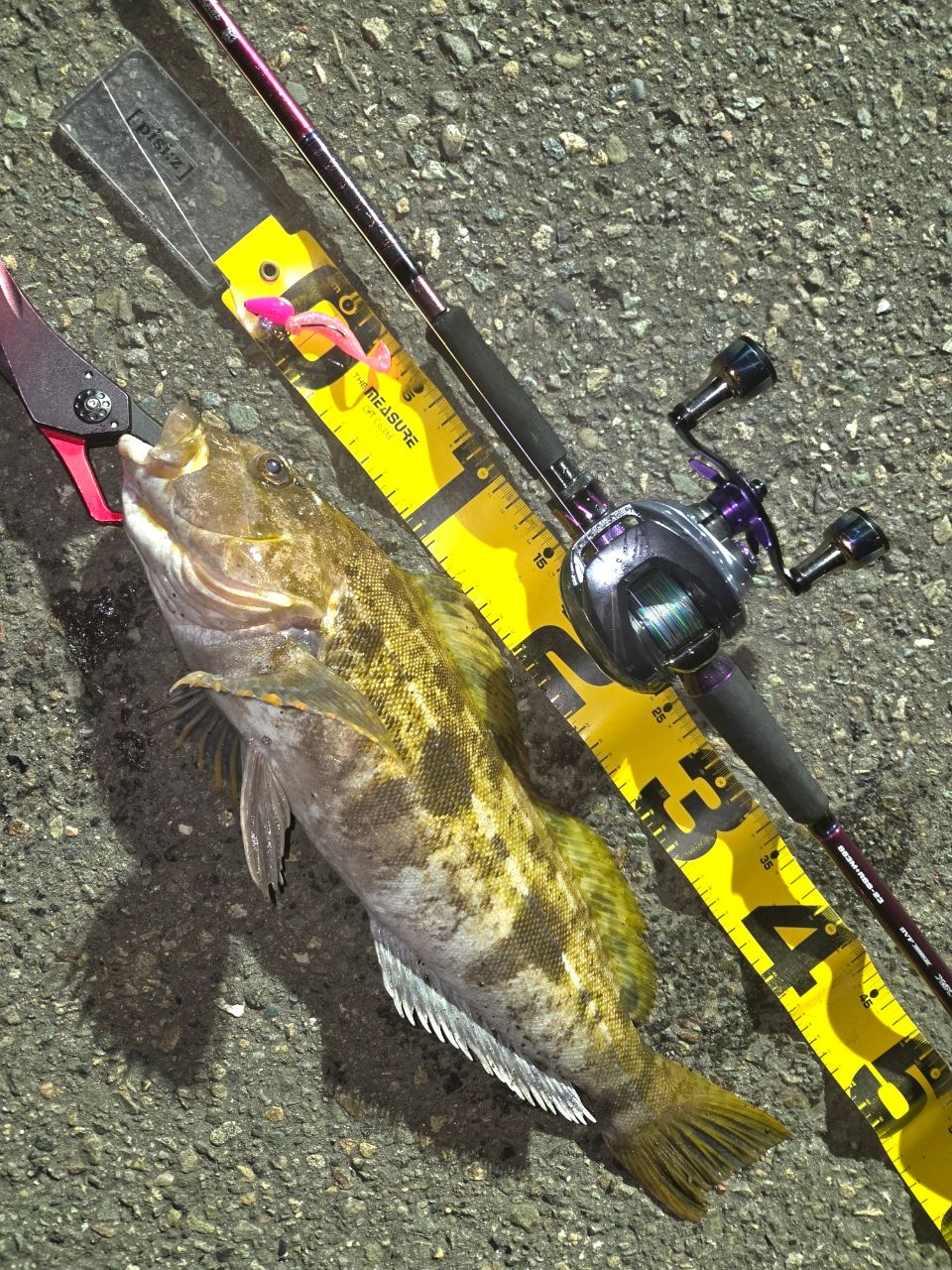 DAIWA 23ハートランド リベラリスト 863M+RSB-23の最安値・インプレ