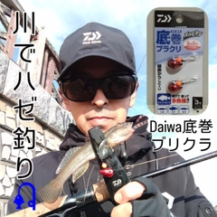 ハゼの釣果