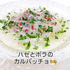ハゼの釣果