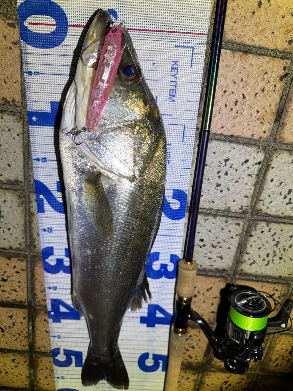 SHIMANO 23ヴァンキッシュ 4000XGの最安値・インプレ・釣果 | 本音の