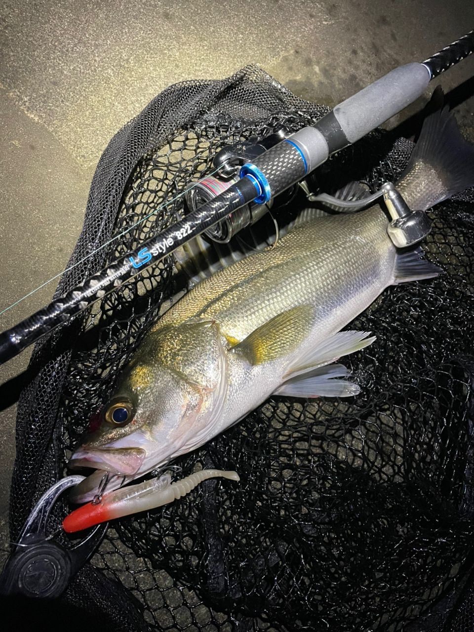DAIWA 23レグザ LT3000S-CXHの最安値・インプレ・釣果 | 本音の口コミ