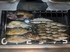 釣果