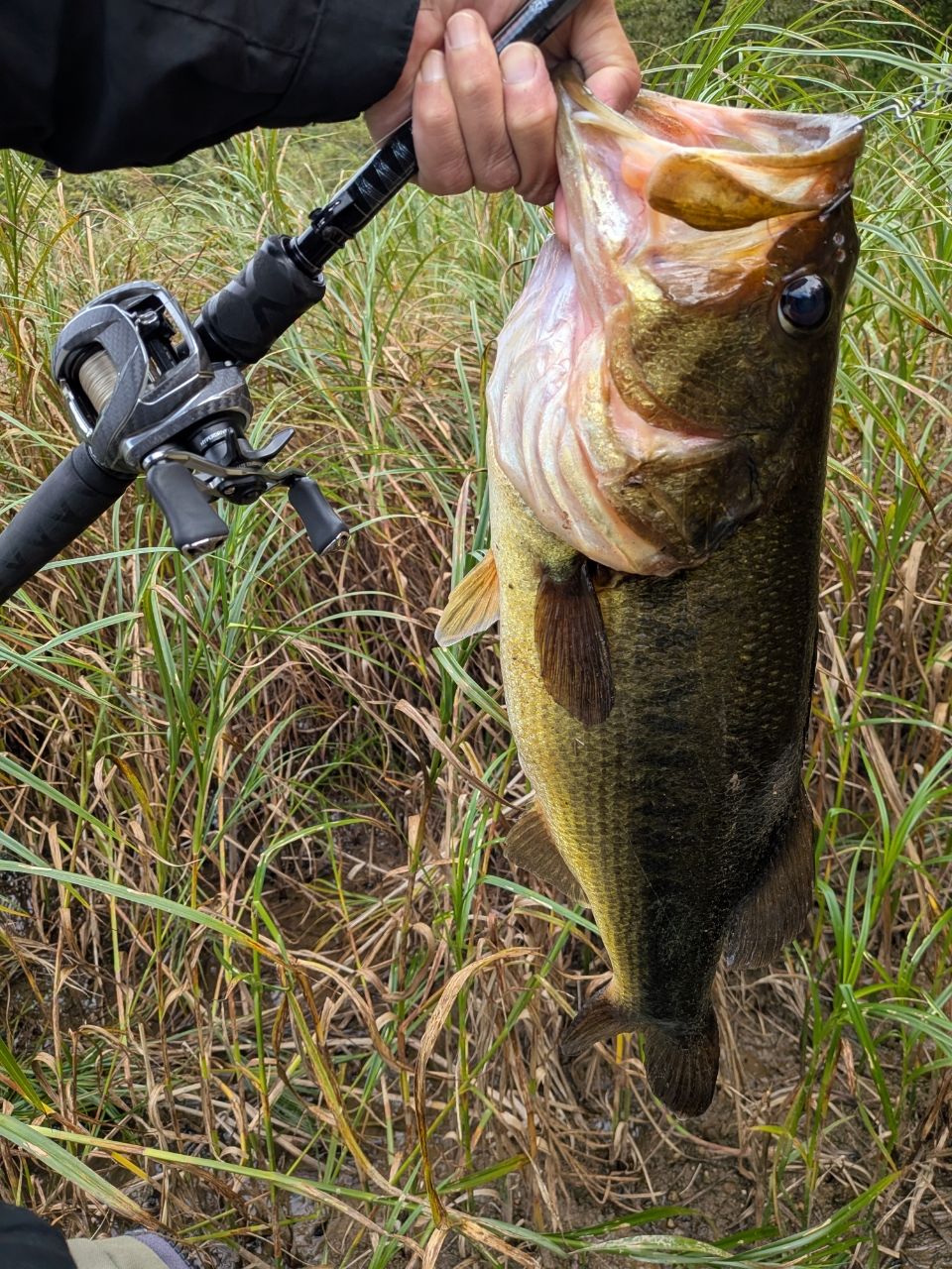 DAIWA 18ハートランド 721HRB-18の最安値・インプレ・釣果 | 本音の