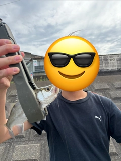 マハゼの釣果