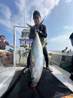 キハダマグロの釣果